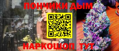 гидра Кингисепп