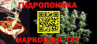 дживик Кимры