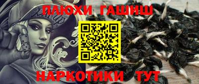 гидра Кинель